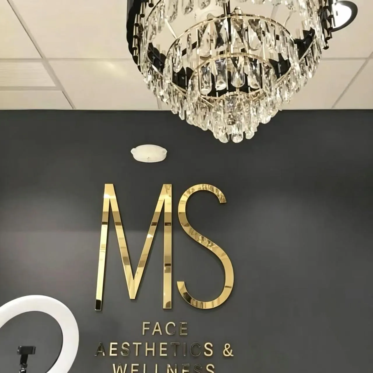 2D Metal Letters