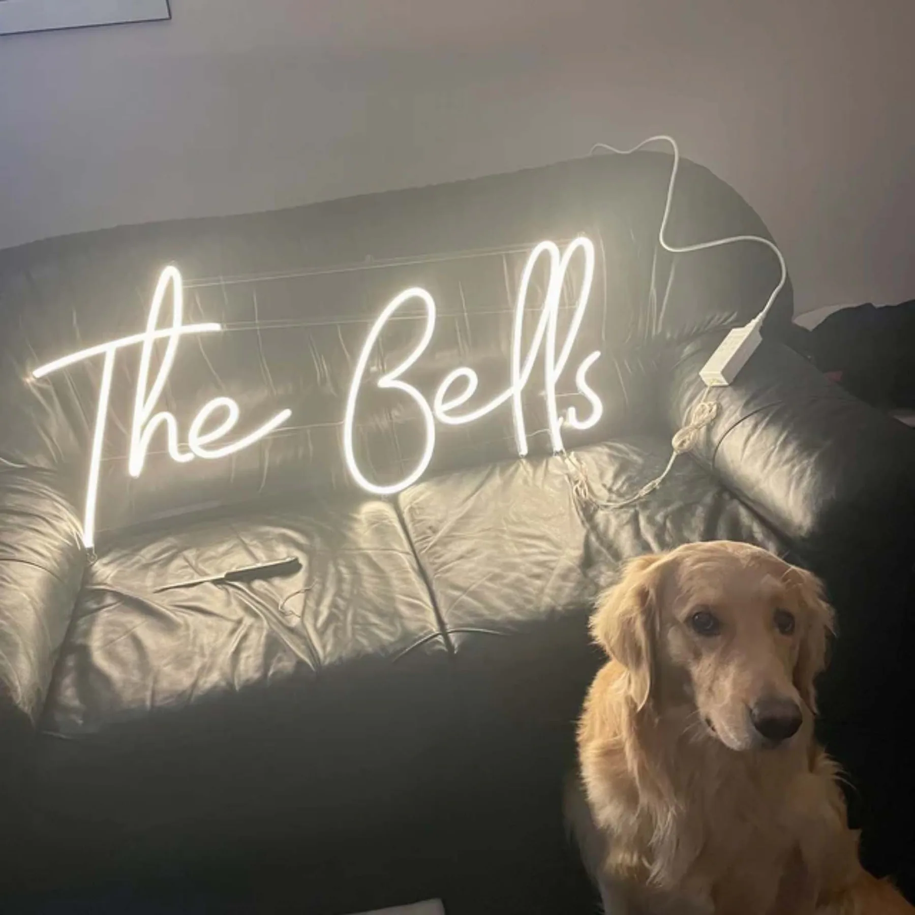 Custom LED neon project 4