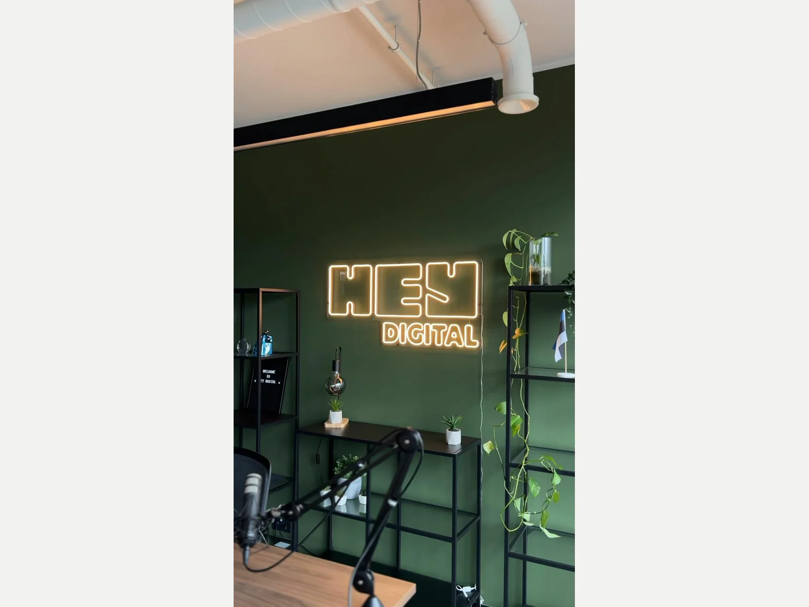 Custom LED neon project 5